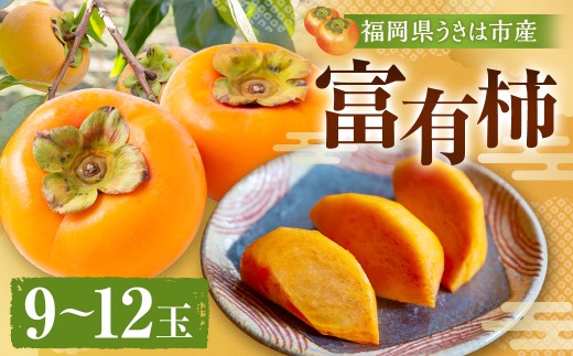 【先行予約】柿屋うちやま 富有柿 9玉から12玉 2025年11月中旬から12月上旬 出荷予定 238191 - 福岡県うきは市