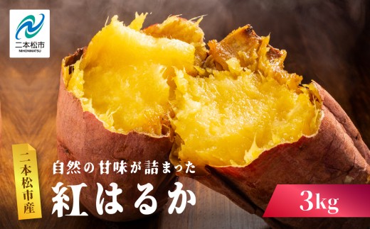 自然の甘みがぎゅっと詰まった さつまいも  紅はるか 3kg 焼き芋 スイーツ 冷凍 やきいも  野菜 サツマイモ 農家直送 新鮮 いも イモ おすすめ お中元 お歳暮 ギフト 二本松市 ふくしま 福島県 送料無料【株式会社橋本】