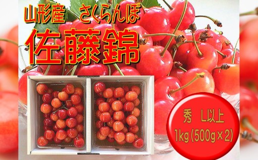 やっぱり 山形産 さくらんぼ 佐藤錦 L以上 1kg (500g×2)  【令和8年産先行予約】FU22-938 くだもの 果物 フルーツ 山形 山形県 山形市 2026年産
