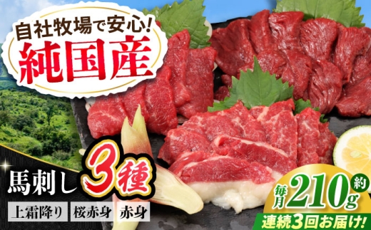 【全3回定期便】『純国産』熊本の味 馬刺し お試し 3種 セット 計約210g（2〜3人前）上霜降り 霜降り 赤身 馬さし 馬肉 おためし 熊本 合志 冷凍 定期【有限会社 九州食肉産業】 [AYCN068]