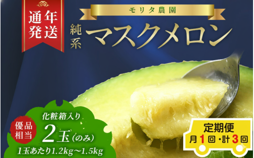 【定期便３ヶ月】純系マスクメロン２玉【通年栽培】