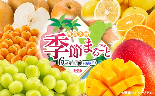【偶数月 6回定期便】旬 人気 フルーツ 南国宮崎産 マンゴー 金柑たまたま シャインマスカット みかん 梨 日向夏 柑橘 きんかん ぶどう 果物 詰め合わせ 宮崎県 九州＜C-2コース M320＞