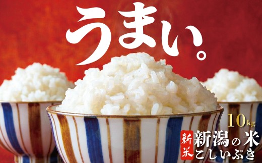 【新米】令和7年産 こしいぶき 10kg コシヒカリ こしひかり 遺伝子を引き継ぐ ご飯 備蓄 コメ お米 米 こめ しんまい 新潟産 新潟米 新潟県 新潟 新発田 新発田市 国産 新発田市産 斗伸 toushin039
