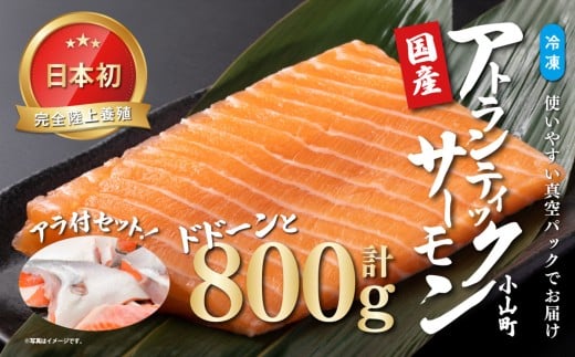 【 日本初 完全陸上養殖 】小山町産 アトランティックサーモン【 冷凍 】800g +アラ付きセット | サーモン アトランティックサーモン 刺身 海鮮丼 さーもん 小分け 真空パック 人気 おすすめ ランキング リピート 国産 静岡県 小山町 2326851 - 静岡県小山町