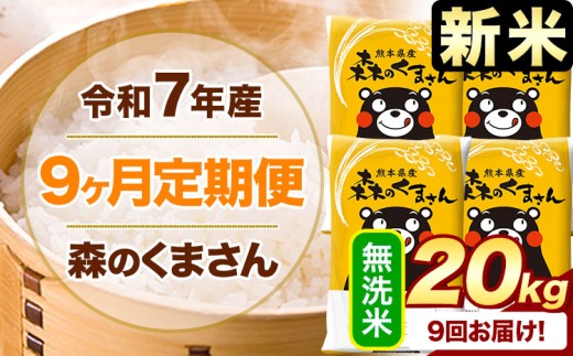 【9ヶ月定期便】新米 令和7年産 無洗米  森のくまさん 20kg 《申込月の翌月から出荷開始》 熊本県産 精米 米 こめ コメ お米 kome