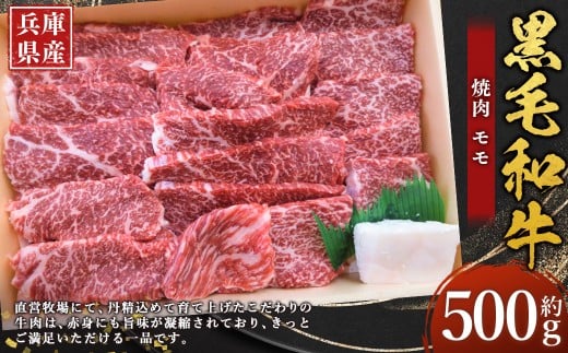 牛肉 兵庫県産 黒毛和牛 焼肉 モモ 約500g×1パック 肉 ニク にく 牛 2392563 - 兵庫県赤穂市