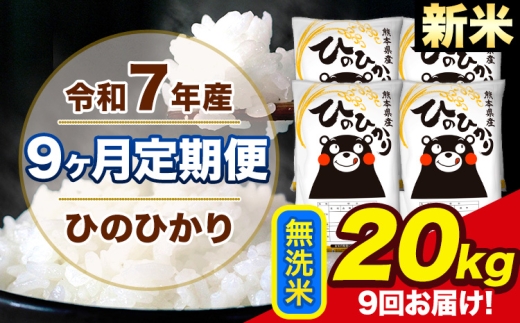 新米 令和7年産 【9ヶ月定期便】 ひのひかり 無洗米 20kg 5kg×4袋 計9回お届け 熊本県産 こめ コメ 精米 荒尾市 ひの 米 定期 《お申込み翌月から出荷》