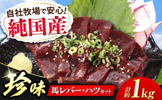 『純国産』熊本の味 馬 珍味 セット 計約1kg（約200g×5セット）レバー ハツ 刺身 馬肉 希少 熊本 生レバー 生ハツ 【有限会社 九州食肉産業】 [AYCN019]