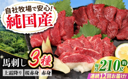 【全12回定期便】『純国産』熊本の味 馬刺し お試し 3種 セット 計約210g（2〜3人前）上霜降り 霜降り 赤身 馬さし 馬肉 おためし 熊本 合志 冷凍 定期【有限会社 九州食肉産業】 [AYCN072]