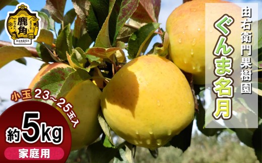 由右衛門果樹園 りんご 家庭用「ぐんま名月」小玉 約5kg ( 23～25玉 )【由右衛門果樹園】●2025年12月上旬発送開始 りんご リンゴ 訳あり 完熟 旬 県産りんご お中元 お歳暮 グルメ ギフト 故郷 秋田 あきた 鹿角市 鹿角 送料無料