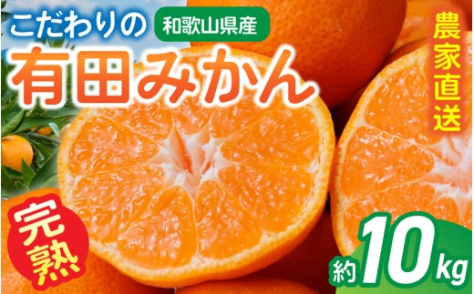 【ご家庭用】農家直送 こだわりの 完熟 有田みかん 約10kg+250g(傷み補償分) 【11月・12月発送から選択可能】(日付指定不可) 有機質肥料100% 有田みかん みかん ミカン 蜜柑 柑橘 果物 くだもの フルーツ 甘い 温州みかん 先行予約【CE-nuk101B-11】