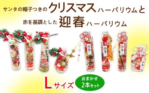 サンタの帽子つきのクリスマスハーバリウムと赤を基調とした迎春ハーバリウム　Lサイズおまかせ2本セット ｜ インテリア 植物 お花 お正月 イベント 冬 鮮やか 鑑賞 手入れ不要 ガラス 癒し ※離島への配送不可 ※2025年12月中旬～12月下旬頃に順次発送予定