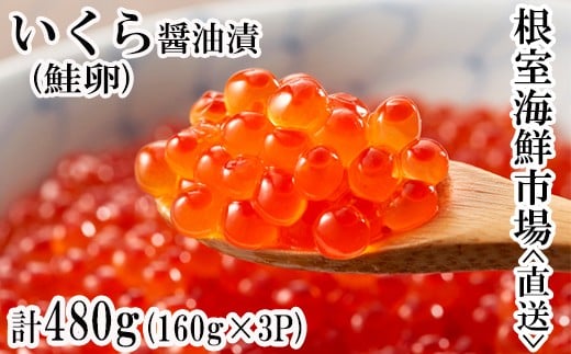 B-11012 【12/10まで年内配送】 ＜計480g＞いくら醤油漬(鮭卵)160g×3P