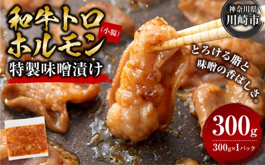 ＜訳アリ＞和牛トロホルモン　特製味噌漬け　0.3kg(300g×1）【2026年9月発送】 2399857 - 神奈川県川崎市