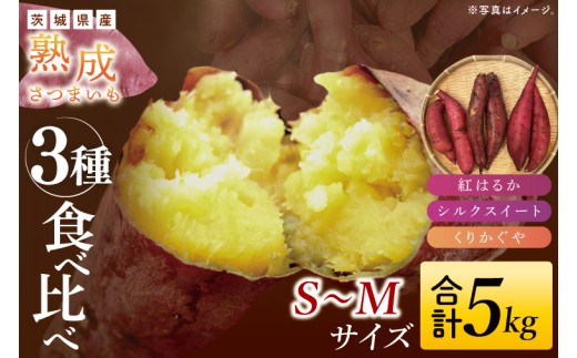 【先行予約】【10月中旬より順次発送予定】熟成さつまいも 3種食べ比べセット 合計5kg 詰め合わせ（紅はるか・シルクスイート・くりかぐや） ｜ 茨城県 大子町 サツマイモ べにはるか 焼き芋 ホクホク 野菜 数量限定 ねっとり しっとり(CH002)