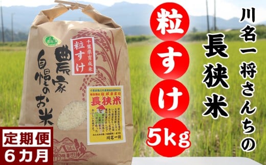 【定期便】川名一将さんちの長狭米　長狭米『粒すけ』5kg×6回 [0084-0004]