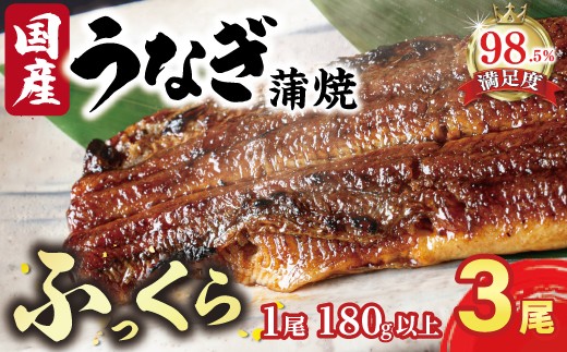 【PRキャンペーン対象】 国産 うなぎ 備長炭 地焼き 蒲焼き 180g 以上 3尾 タレ付き 【FU03W】 うなぎ ウナギ 鰻 蒲焼き かば焼き たれ 人気 美味しい ふるさと 冷凍 うな重 ひつまぶし 国産うなぎ うざく うまき 国産 限定 大人気