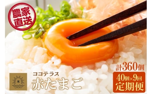【9ヵ月定期便】ココテラスの明日（赤たまご）35個 + 5個保証（計40個）【JGAP認証】