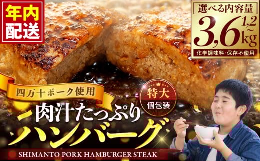 【 年内発送 】 最短1週間以内で発送 ハンバーグ 発送月が選べる 1.2kg ( 200g × 6個 ) 2.4kg ( 200g × 12個 ) 3.6kg ( 200g × 18個 ) 冷凍 真空 小分け 個包装 四万十ポーク 肉汁 たっぷり 大容量 大きめ 合挽き 牛肉 豚肉 保存料 不使用 ビーフ ポーク 合いびき肉 挽肉 ジューシー お弁当 おかず 惣菜 晩ごはん 贅沢 お取り寄せ 肉 ギフト 人気 高知県 須崎市 弁当 冷凍食品 お惣菜 はんばーぐ hannba-gu SNM012-a