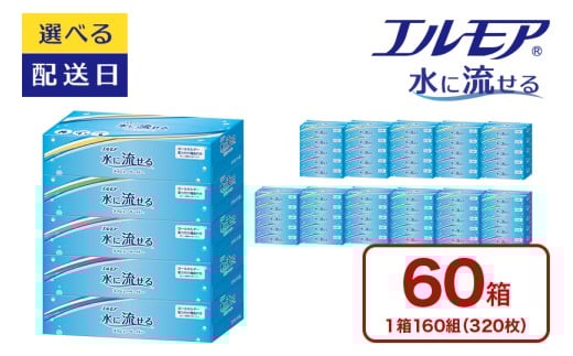 【指定日配送】エルモア 水に流せるティシュー 60箱 5個×12パック ティッシュ ティッシュペーパー ボックスティッシュ 日用品 消耗品 備蓄 防災 愛媛県 四国中央市 2404071 - 愛媛県四国中央市