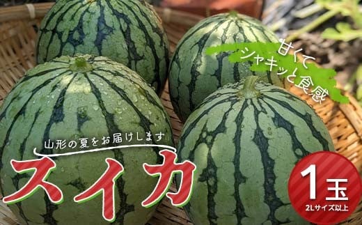 《先行予約 2026年発送》山形県産 スイカ 1玉 スイカ すいか 西瓜 デザート フルーツ 果物 くだもの 果実 食品 山形県 FSY-0168