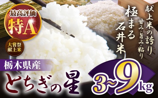 令和7年度 石井米(とちぎの星)選べる内容量 3~9kg | 3kg 4.5kg 9kg ふるさと納税 とちぎの星 那珂川町産 美味しい お弁当 おにぎり おいしい 数量限定 ご飯 送料無料 栃木県 那珂川町