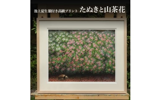 池上夏生 額付き高級プリント ”たぬきと山茶花”