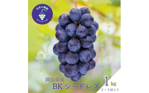 ＜2026年先行受付＞岡山　花笑み農園の『BKシードレス』1kg(2～3房)　B-1【1628316】