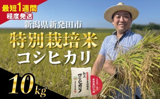 【最短1週間発送!!】 新潟県産 特別栽培米 コシヒカリ 10kg （5kg×2袋） 令和7年産 こしひかり 特栽米 米 新米 月岡 温泉 お米 こめ ご飯 ごはん おいしい 新潟米 新潟 新潟県 米 新発田産 新潟産 朝食 昼食 夕飯 炊きたて 精米 watasho005_2025