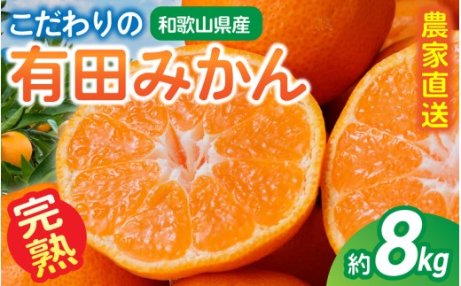 【ご家庭用】農家直送 こだわりの完熟有田みかん 約8kg+250g(傷み補償分) 【11月・12月発送から選択可能】みかん ミカン 有田みかん 温州みかん 柑橘 有田 和歌山 産地直送【CE-nuk100B_cho】