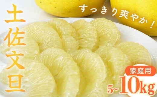 【2026年2月中旬より順次発送】【訳あり】 文旦 家庭用 5kg ~ 10kg 高知 L ～ 2L サイズ 期間限定 早期予約 受付中 限定 旬 みかん 土佐文旦 柑橘 果物 フルーツ NF005-all