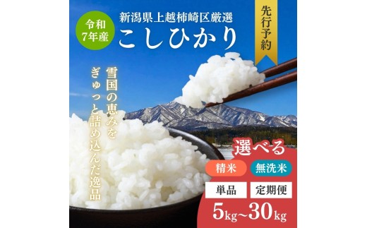 令和7年産 新潟県上越柿崎区厳選 こしひかり 精米 無洗米 5kg 10kg 15kg 20kg 30kg 5キロ 10キロ 15キロ 20キロ 30キロ 定期便 1回 3回 6回 上越市 米 コメ コシヒカリ ブランド米