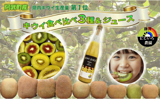 キウイ フルーツ 食べ比べ アソート 3種 約1.4kg ＆ キウイ ジュース 500ml （ 果汁 70％ ） セット 阿武町産 キウイ トリプル ジュースセット フルーツ 果物 詰め合わせ 山口県産 【お届け：2025年11月14日頃～2026年1月31日頃 出荷予定】