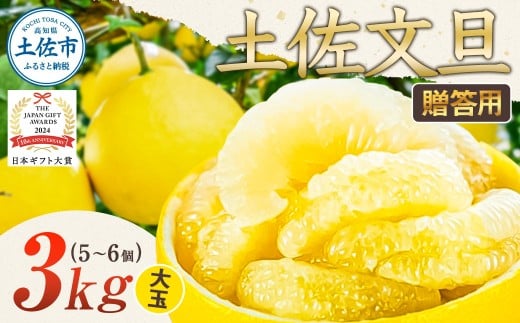 【日本ギフト大賞2024受賞】園主こだわり土佐文旦【化粧箱贈答用：大玉3kg】（3L～2L） 2026年1月下旬より順次発送 ぶんたん ブンタン 柑橘 フルーツ 果物 贈答 ギフト 土佐 高知 やの一果彩