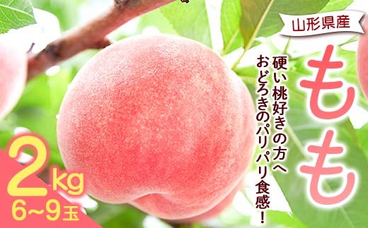 《先行予約 2026年発送》【硬い桃好きの方へ】大人気！おどろきのパリパリ食感！ 山形産もも2kg  もも モモ 桃 デザート フルーツ 果物 くだもの 果実 食品 山形県 FSY-2472