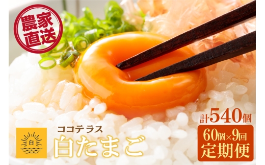 【9ヵ月定期便】ココテラスの朝日（白たまご）55個 + 5個保証（計60個）