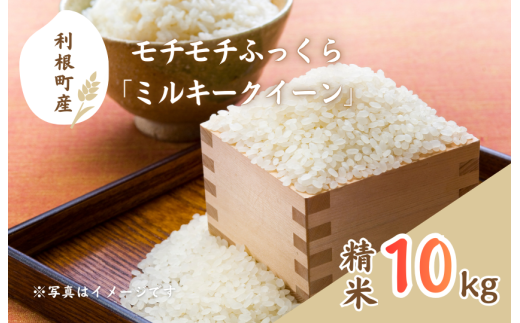 モチモチふっくら「ミルキークイーン」精米10kg ／ 米 こめ コメ お米 ご飯 ごはん ミルキークイーン 白米 精米 令和7年産 新米 10kg 利根町 送料無料