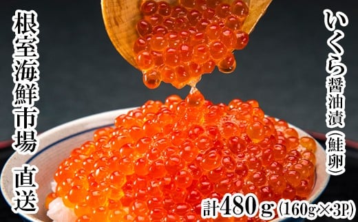 B-28012 【12/10まで年内配送】 ＜計480g＞根室海鮮市場＜直送＞いくら醤油漬(鮭卵)160g×3P