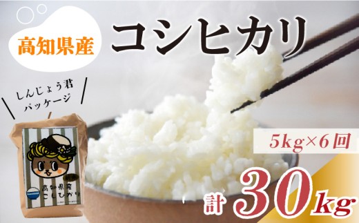 【早期予約】 【6回定期便】 数量限定 新米 コシヒカリ 計30kg 令和7年 5kg×6回 白米 精米 米 こしひかり ブランド米 6ヶ月 定期便 国産 高知県 須崎 しんじょう君 産地直送 NF2000