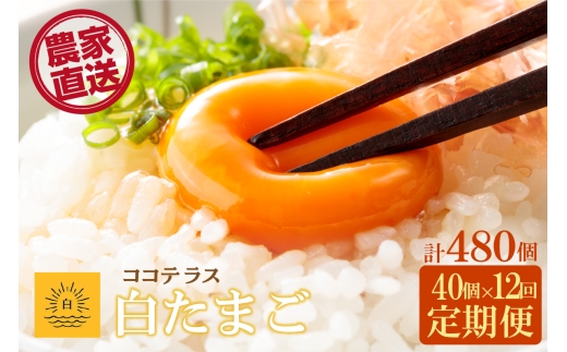 【12ヵ月定期便】ココテラスの朝日（白たまご）35個 + 5個保証（計40個）【JGAP認証】