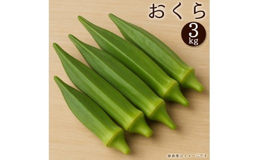 【ふるさと納税】オクラ　約3kg　バラ