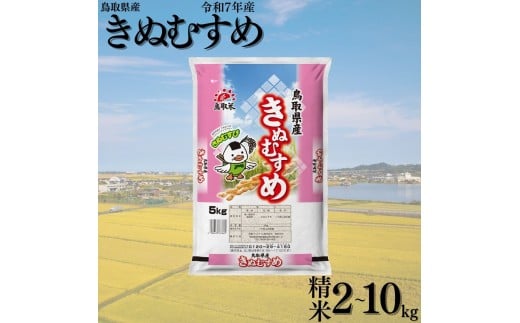 鳥取県産きぬむすめ◇令和7年産