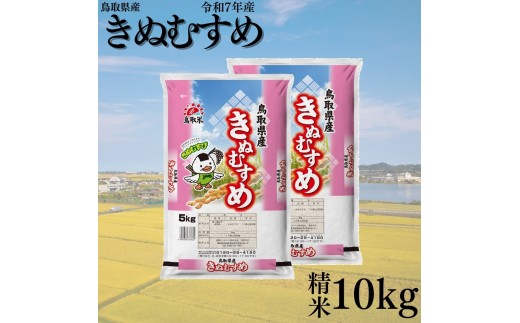387K.鳥取県産きぬむすめ◇精米10kg◇令和7年産 1056747 - 鳥取県湯梨浜町