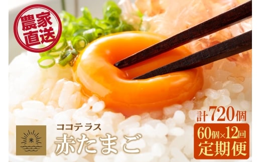 【12ヵ月定期便】ココテラスの明日（赤たまご）55個 + 5個保証（計60個）【JGAP認証】