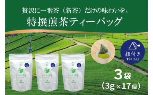 お茶 ティーバッグ 特撰 みやざき煎茶 紐付き 3袋 セット [谷岩茶舗 宮崎県 日向市 452061628]  ティーパック 茶 茶葉 緑茶 新茶 お茶の葉