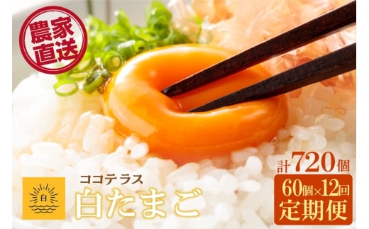 【12ヵ月定期便】ココテラスの朝日（白たまご）55個 + 5個保証（計60個）【JGAP認証】