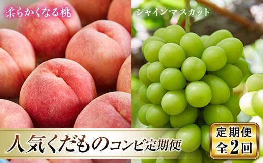 《先行予約 2026年発送》人気くだものコンビ！定期便～ももとシャインマスカット～  もも モモ 桃 デザート フルーツ 果物 くだもの 果実 食品 山形県 FSY-2450