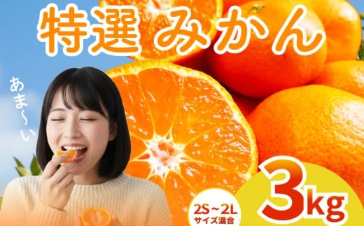 【2025年12月上旬～発送】 アカメの国農園特選みかん 特秀 3kg / 温州みかん みかん ミカン 蜜柑 ルーツ 果物 みかん くだもの 柑橘 旬 果実 甘味 酸味 甘い mikan 産地直送 農家直送 数量限定 国産 先行予約 ご家庭用 ミカン ご当地 お返し ミカン 贈り物 人気 贈答用 家庭用 土産 手土産 みかん / 安芸市 / アカメの国農園 [AA008]