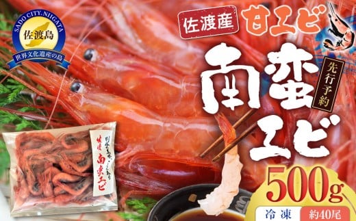 【先行予約】【令和8年1月中旬以降発送】佐渡産 南蛮エビ（甘エビ）冷凍 500g（約40尾） 2402035 - 新潟県佐渡市
