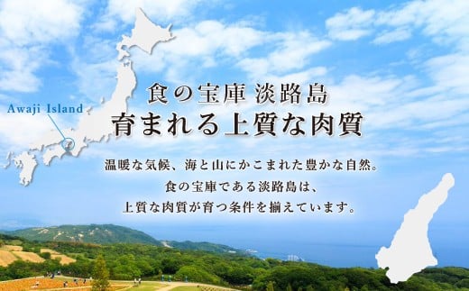 【マイ・マート】淡路牛あじわいセット（サーロインステーキ・ロースすき焼き用）合計 約700g